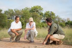 Game walk with your professional field guide