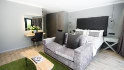 Forest Suite