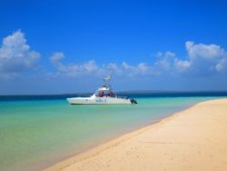 Boats to fish, dive and enjoy.
