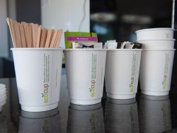 Tea & Coffee Facilities