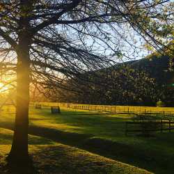 Dusk at Somerset Gift