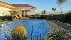 Pool and garden view