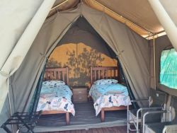 Bush Camp
