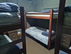 Fish Eagle Camp