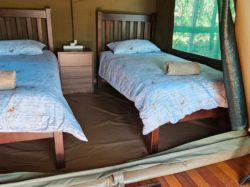 Gecko Camp