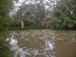 All siutes look over our private lake with bird life