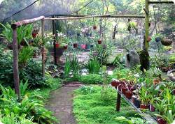 We have an Exotic and Orchid Nursery at Stephward Estate and a Tissue Culture Laboratory(for sale)