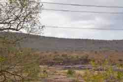 Kruger park view