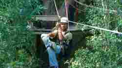 Local attractions - Canopy Tree Top Tours