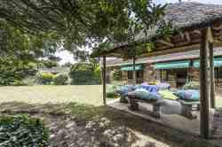 Garden Area