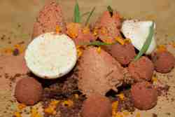 Chocolate & tropical fruits