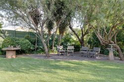 Garden area