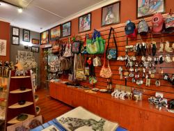 Curio Shop