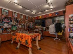 Curio Shop