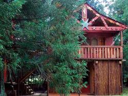 Planequarium Treehouse