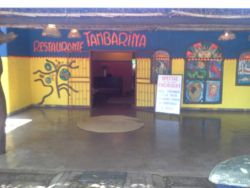 Tambarina