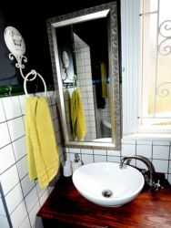 Bathroom Terebinte 1