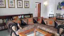 Treetops lounge
