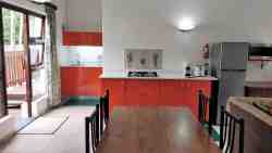 Treetops kitchenette