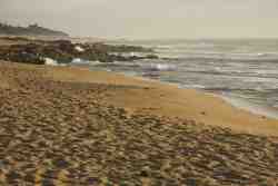 Our Beach
