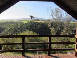 The Carraighs - view from the upstairs room