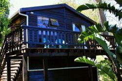 Treehouse Cottage