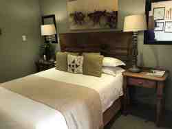 These rooms are elegant and stylish. These suites consist of a queen size bed with bedside tables and reading lamps. The en-suite bathrooms are complete with a shower and/or bath & shower, as well as a comfortable vanity top. The seating areas have comfortable chairs and a writing desk. The rooms are privately accessed from the beautiful shaded gardens, and situated close to the parking areas. Paved walkways lead to the dining room Queens, where breakfast is served in the mornings.   •	Free WiFi •	Air Conditioning •	Electric Blankets in winter •	Coffee/ Tea making facilities •	Secure parking