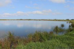 Farm dam