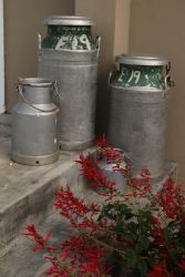 Milk containers