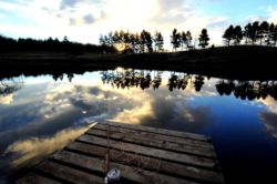 The Dam on the FarSide