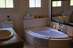Shared Bathroom Downstairs