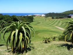 Golf Course Prince's Grant Golf Estate