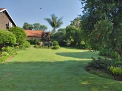 Property Front Garden