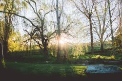 Grounds
