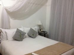 Wendy's Room