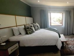 Pet and Disability Friendly unit