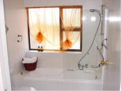 Bathroom - bath and hand shower 