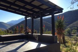 view from the verandah