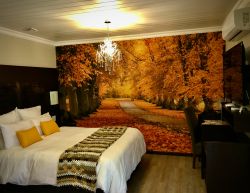Deluxe Queen Suite 2
