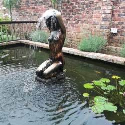 Koi pond
