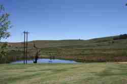 The Homestead View
