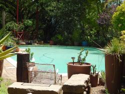 Relaxing atmosphere at the pool