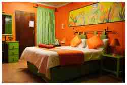 Room 5