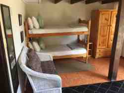 Family Room - Dolphin