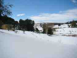 Snow in winter