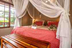 Standard Twin/Single Room