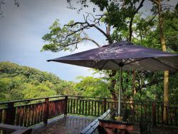Dlinza Forest Birding Deck
