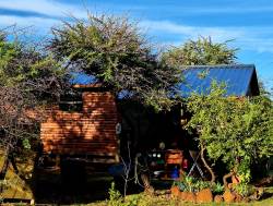 Weeping Boerbean Tent Cabin