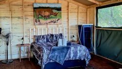 Weeping Boerbean Tent Cabin