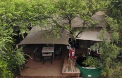 Black Thorn 4 Man Tent Camp
